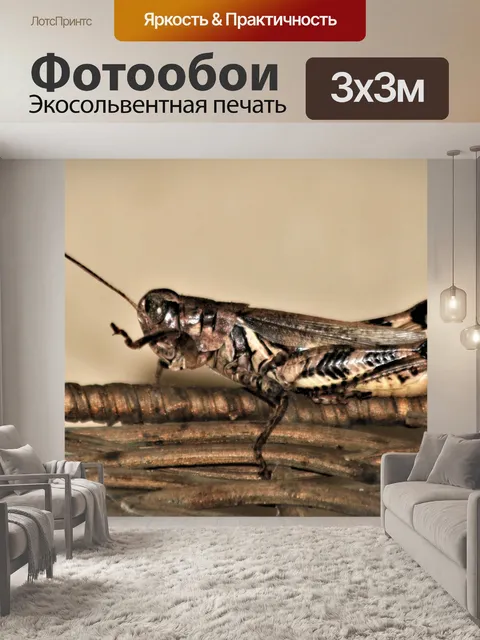Фотообои Золотой коричневый кузнечик крупным план