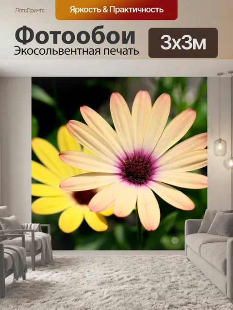 Фотообои Африканские ромашки