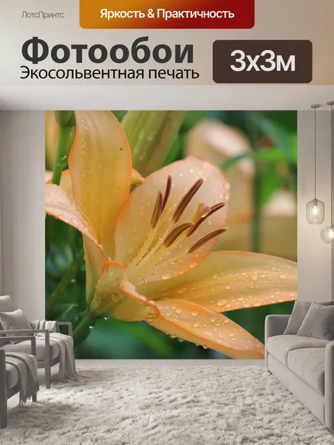 Фотообои Лилия