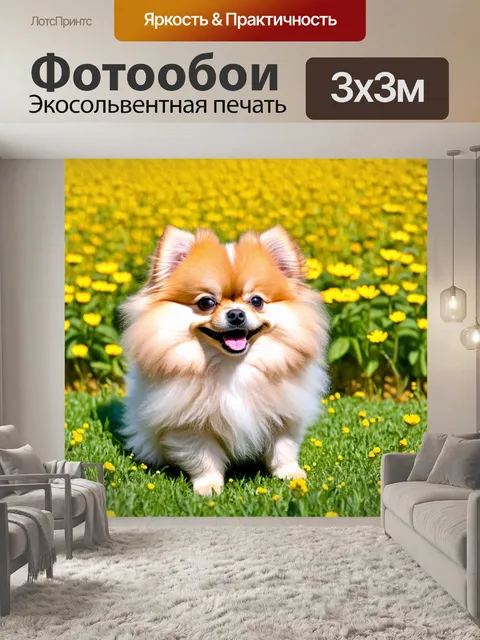 Фотообои щенок померанского шпица, с пушистым мехом и счастливо моргающим, позирующий на фоне цветочных полей