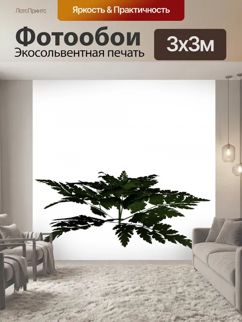 Фотообои Зеленый папоротник