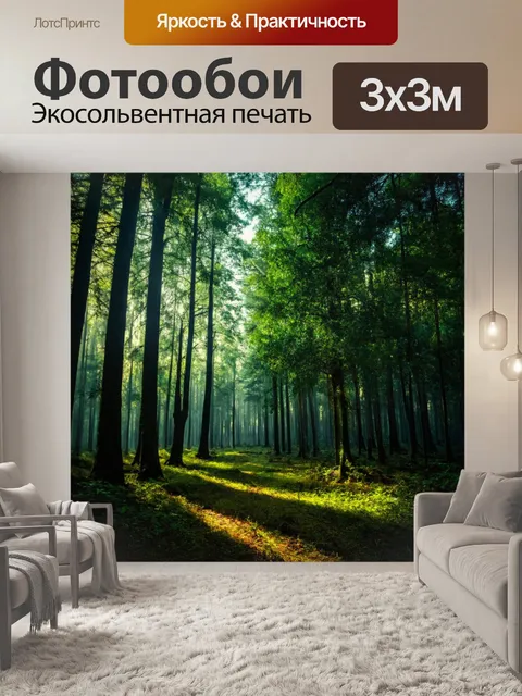 Фотообои таинственный лес с затененными уголками и таинственными звуками