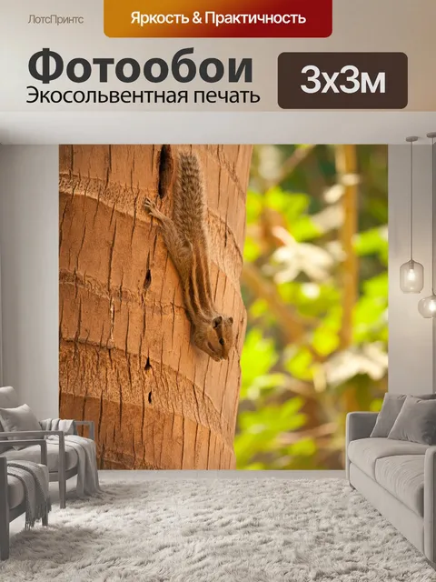 Фотообои Белка