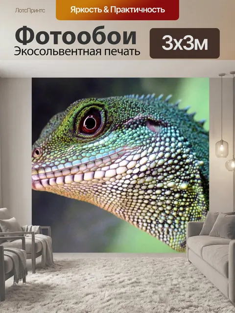 Фотообои Китайский водяной дракон