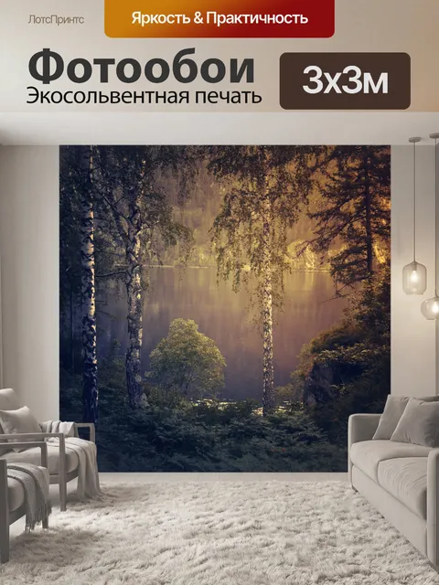 Фотообои мрачный лес фон