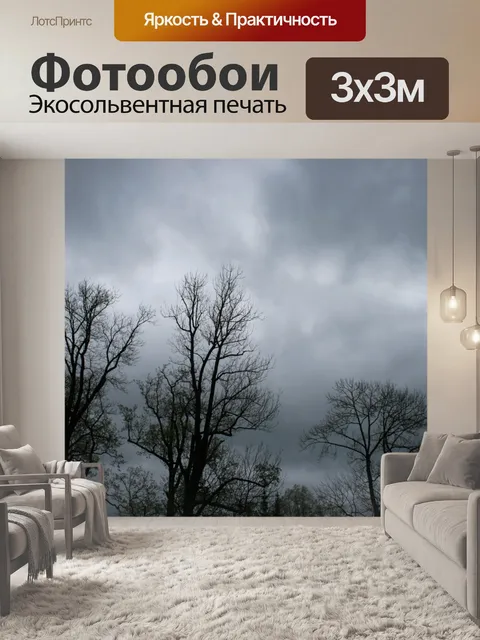 Фотообои темные тучи над Царском Селе