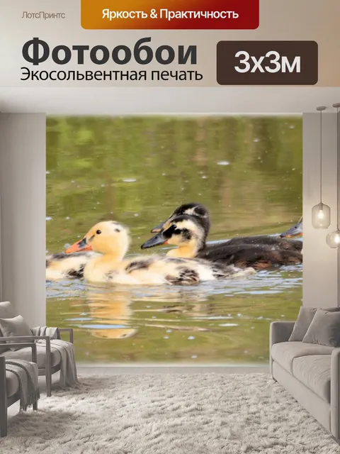 Фотообои 2 блондинки