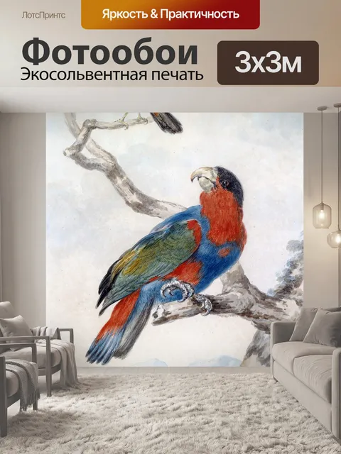 Фотообои Попугай винтажная живопись