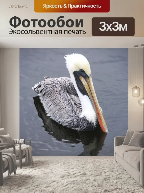 Фотообои Пеликан