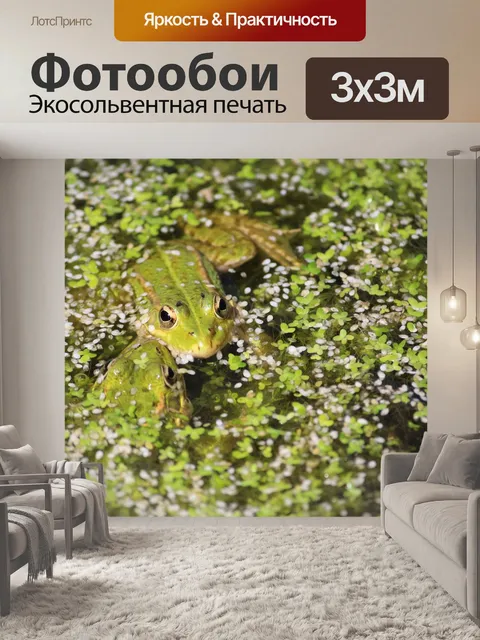 Фотообои Лягушка