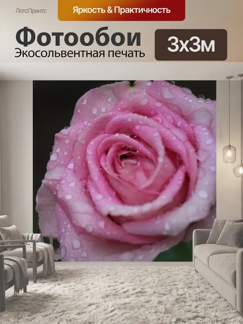 Фотообои Роза