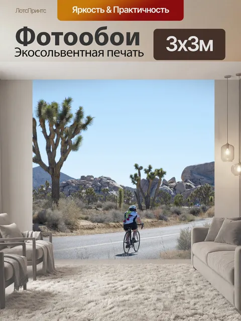Фотообои велосипедист