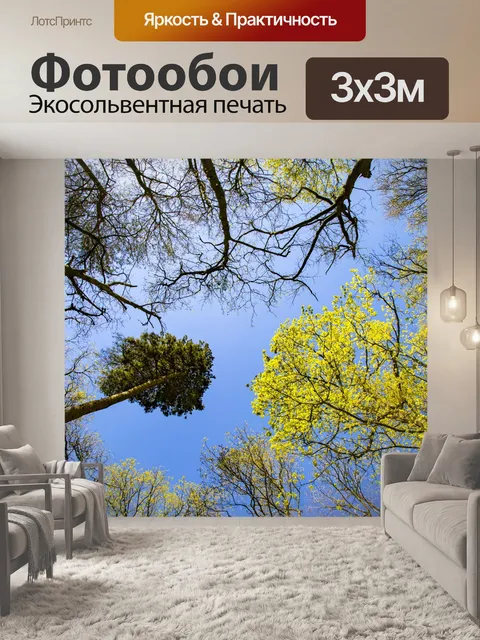 Фотообои Деревенские кроны на глубоком синем небе
