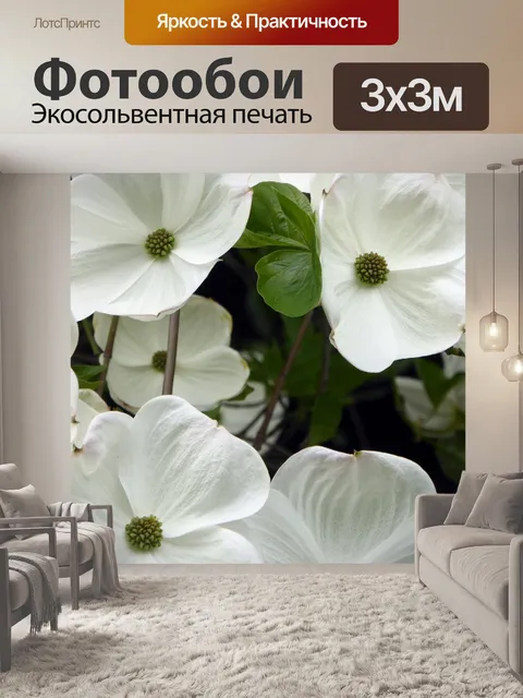 Фотообои белые цветы