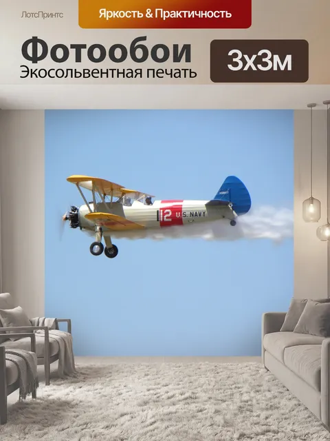Фотообои Радиоуправляемый самолет