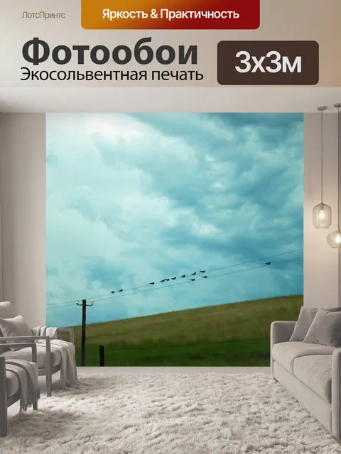 Фотообои птицы на кабеле с пасмурным небом