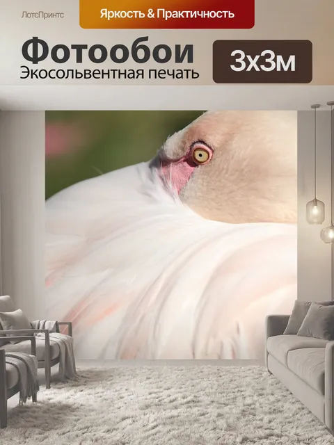 Фотообои Фламинго
