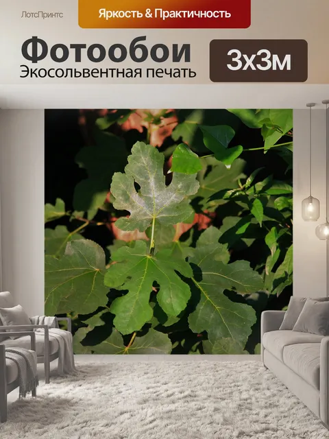 Фотообои Рис листья деревьев