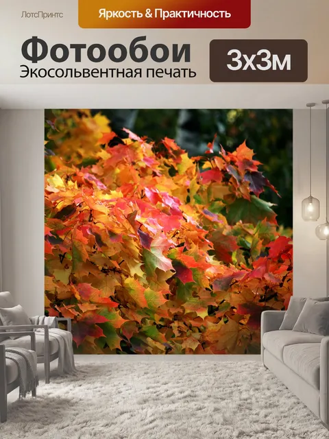 Фотообои Город