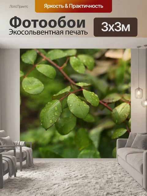 Фотообои Дождь