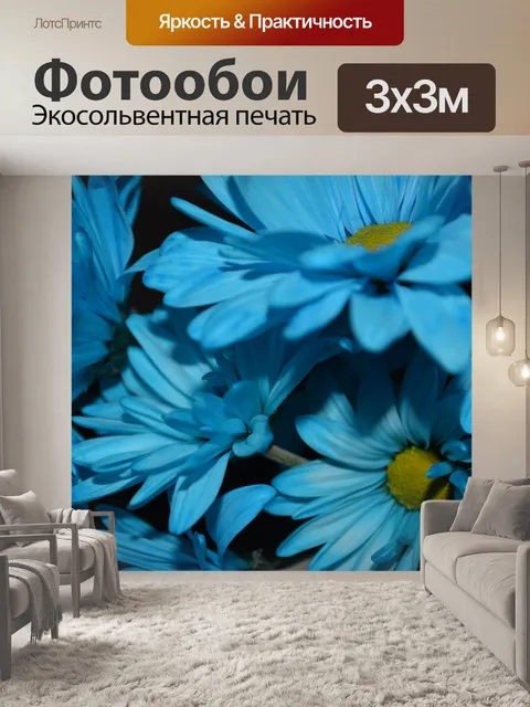 Фотообои Ромашки Цветет Цветы Макро