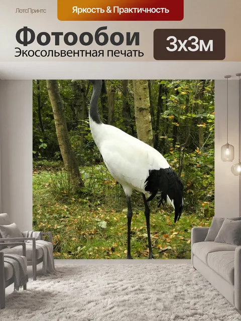 Фотообои Китайский кран