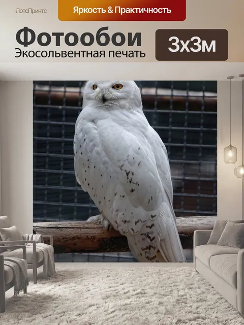 Фотообои Снежная сова