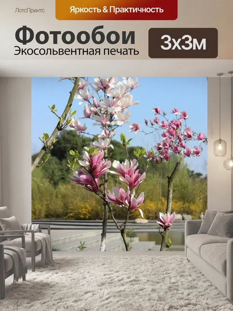 Фотообои Голубое небо