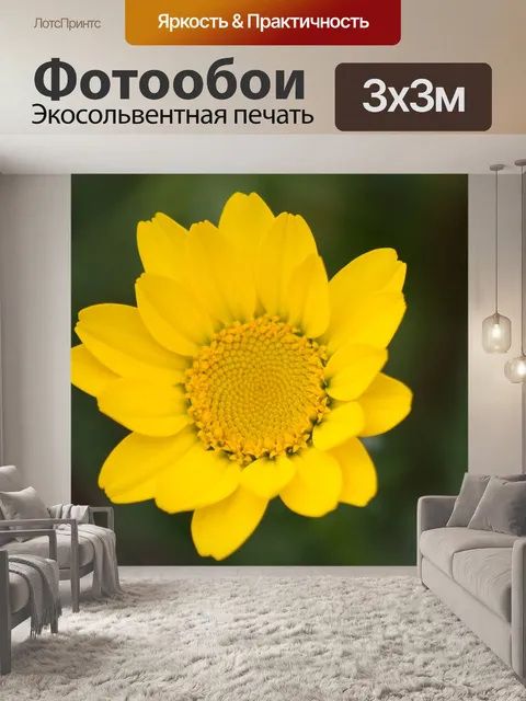 Фотообои Макрос