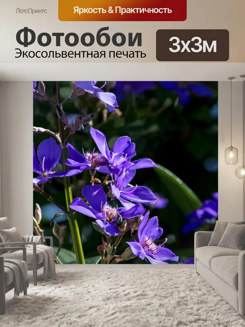 Фотообои Пост