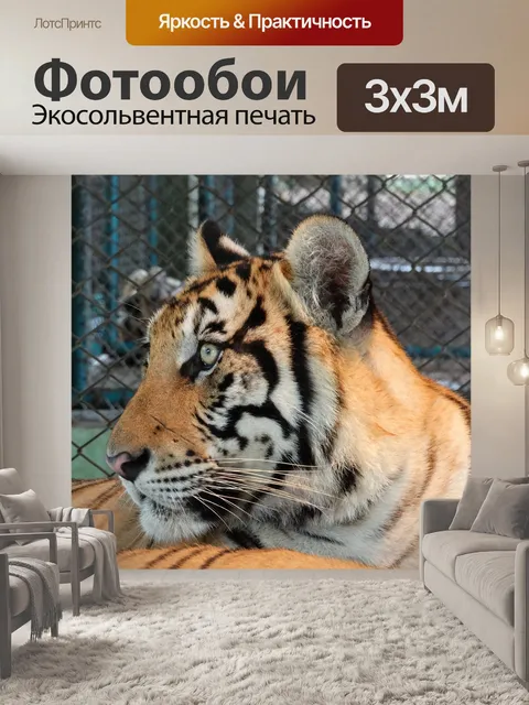 Фотообои Тигр