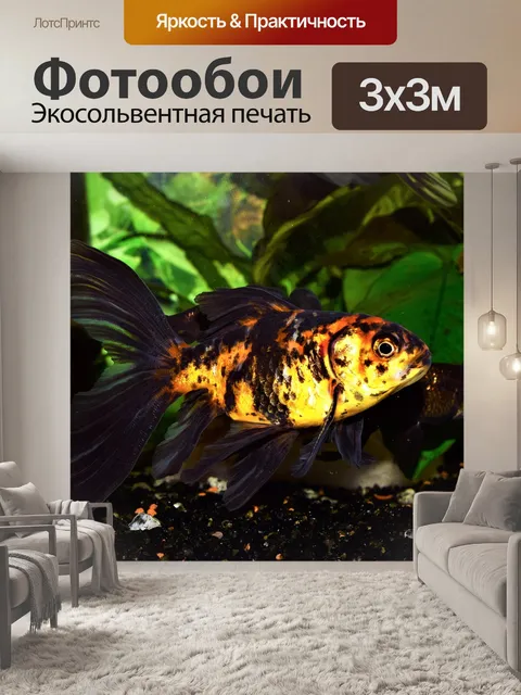 Фотообои Золотая рыбка