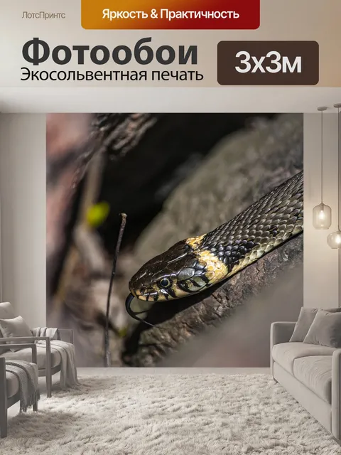 Фотообои Пляжная змея