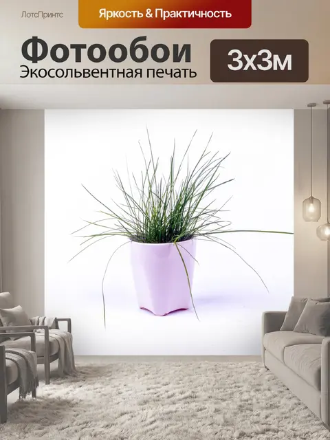 Фотообои Зеленая трава в белом горшке