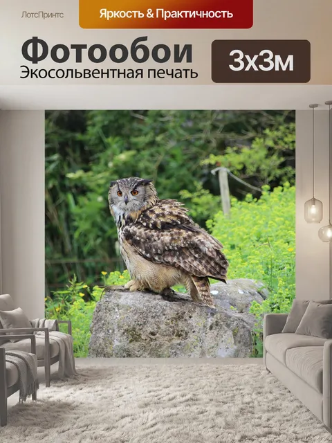 Фотообои Филин