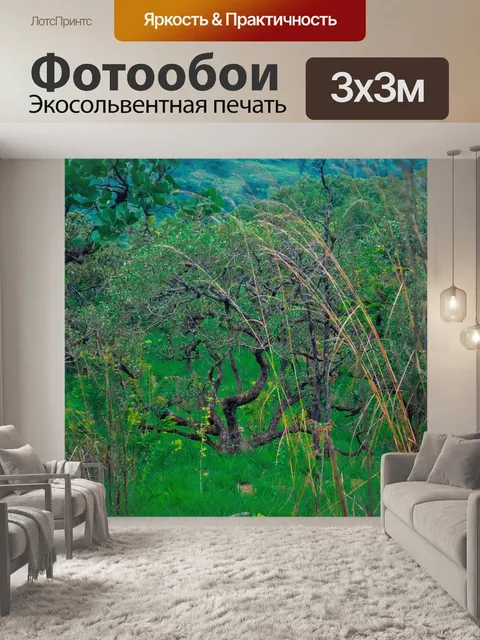 Фотообои Лес