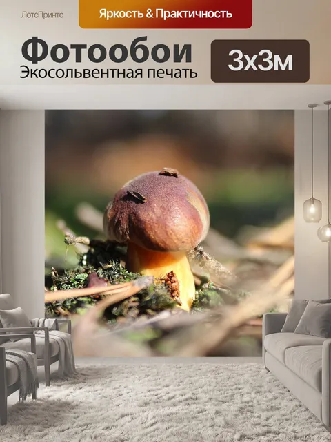 Фотообои Коричневый гнедой подберезовик