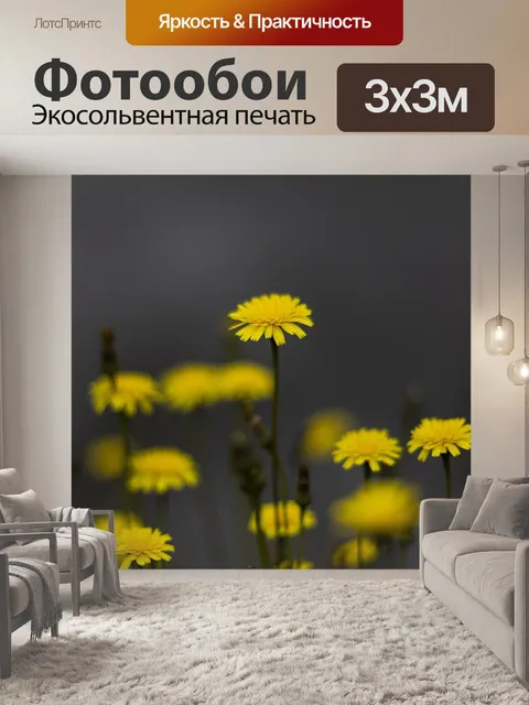 Фотообои Полный hd обои