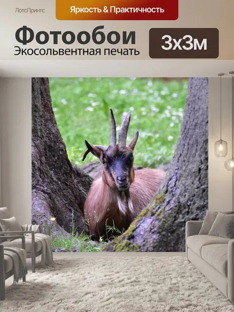 Фотообои Козел