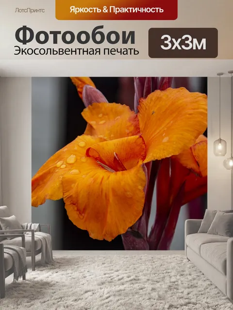 Фотообои цветение канны