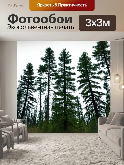 Фотообои лес в стиле минимализм