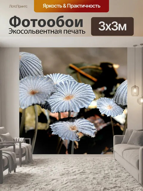 Фотообои Грибы