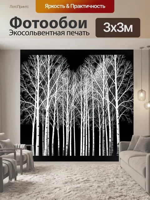 Фотообои Белые березы на черном фоне