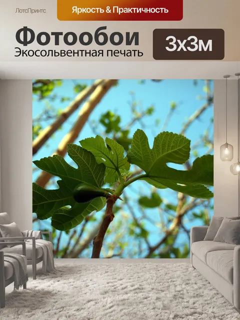 Фотообои фиговые листья и рис