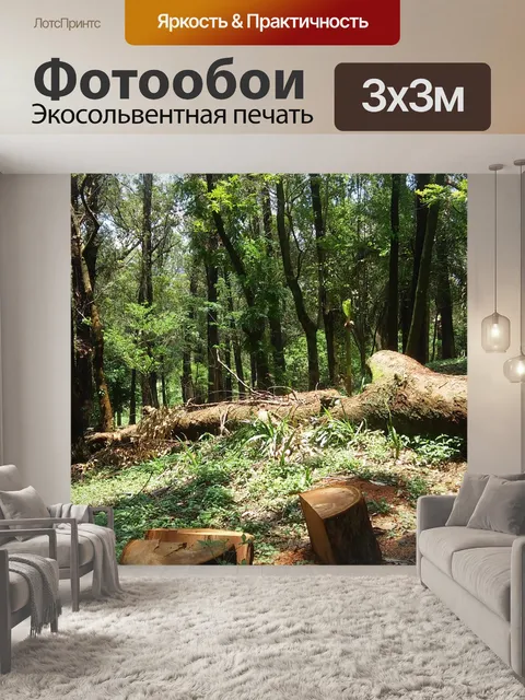 Фотообои Ствол