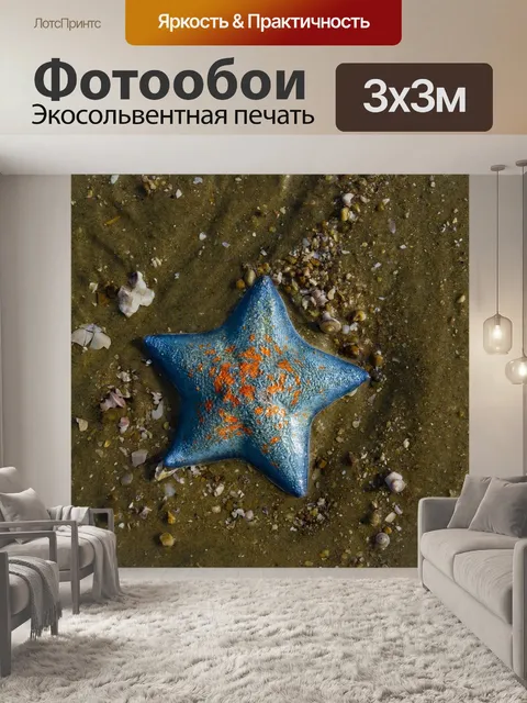 Фотообои Морская звезда