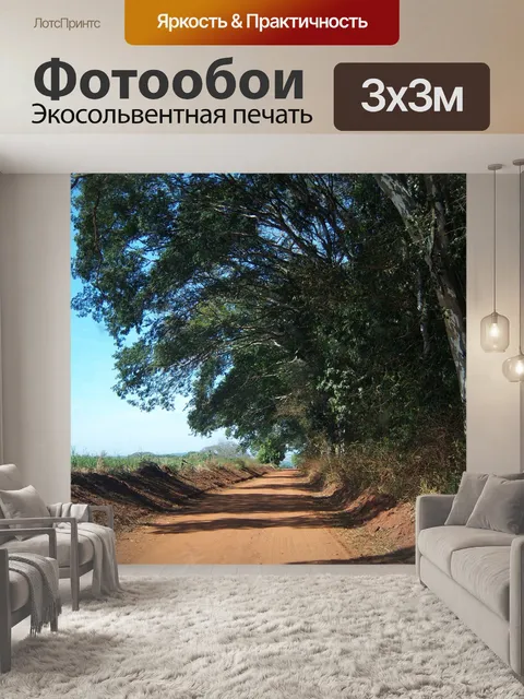 Фотообои Грязная дорога