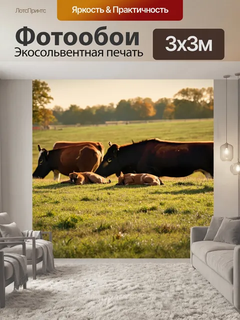 Фотообои охота: утро на животноводческом дворе, где животные мирно отдыхают перед началом дневной рутины