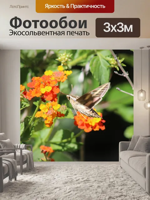 Фотообои Колибри с Лантаной