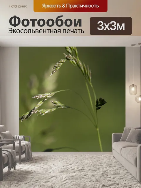 Фотообои Природа
